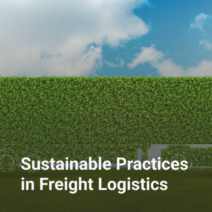 Sustainable Practices in Freight Logistics