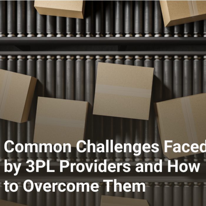 Common Challenges Faced by 3PL Providers and How to Overcome Them